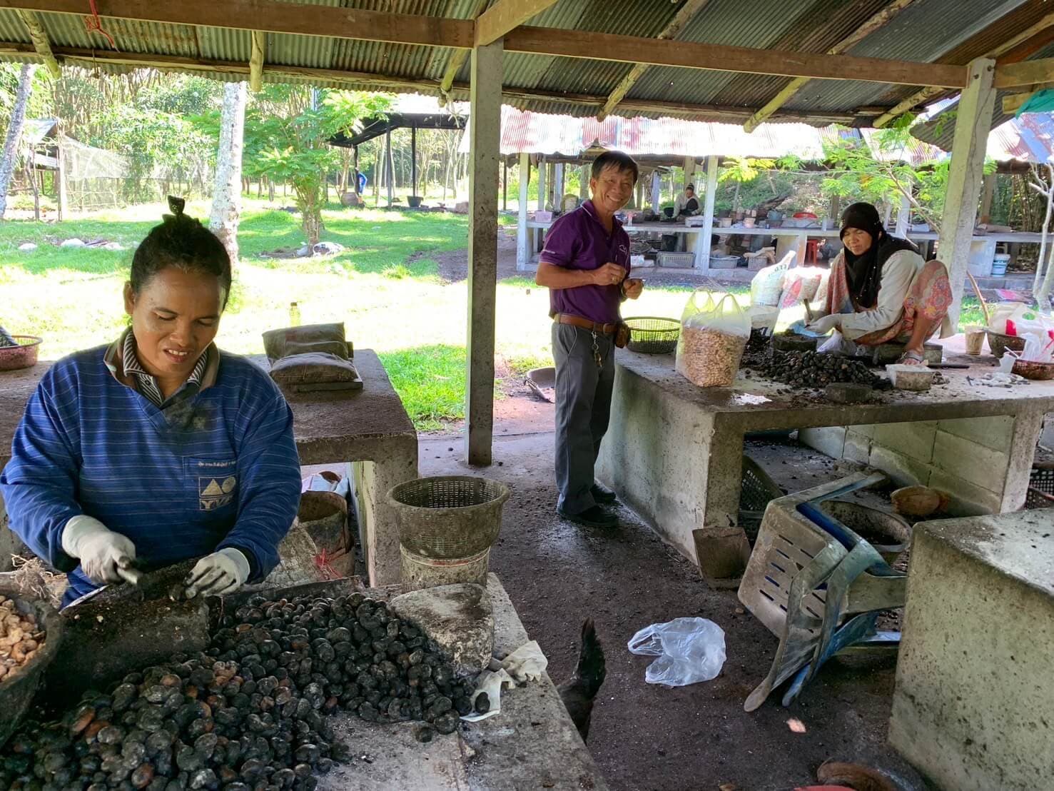 Quality checking cashews