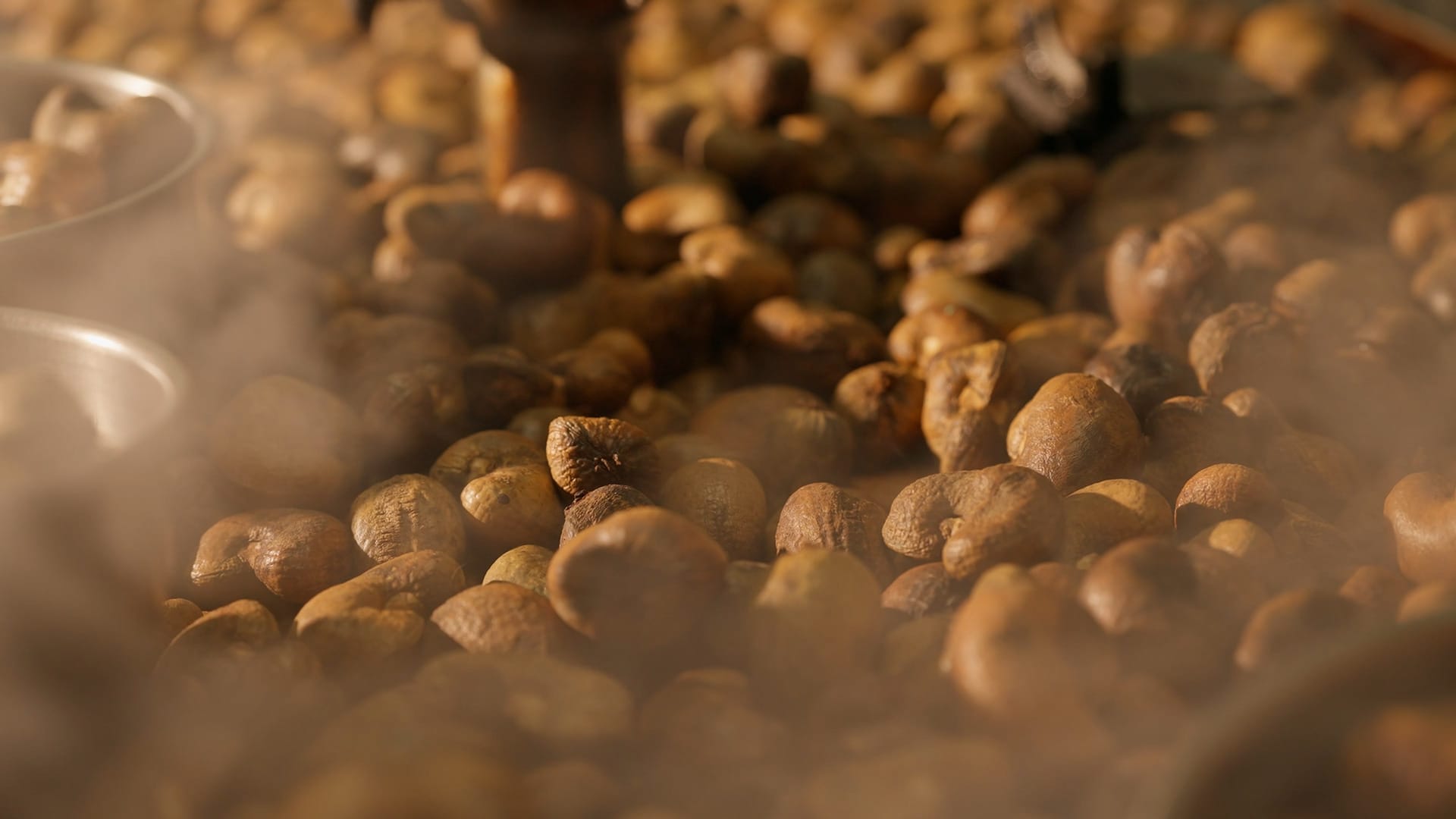Premium cashews close-up