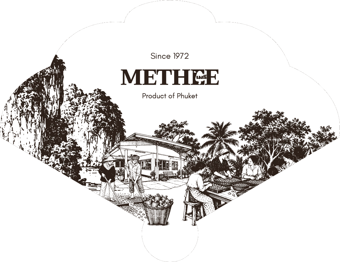 Methee, since 1972, product of Phuket: the factory yard with cashews drying and being sorted
